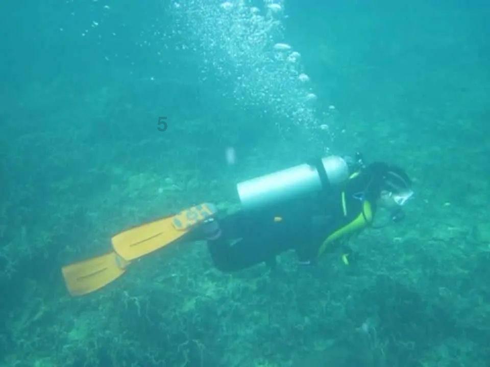 沪江开心词场